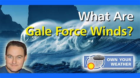 gale vs high wind